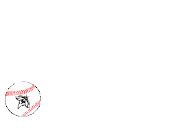 Columbia Fireflies Sticker