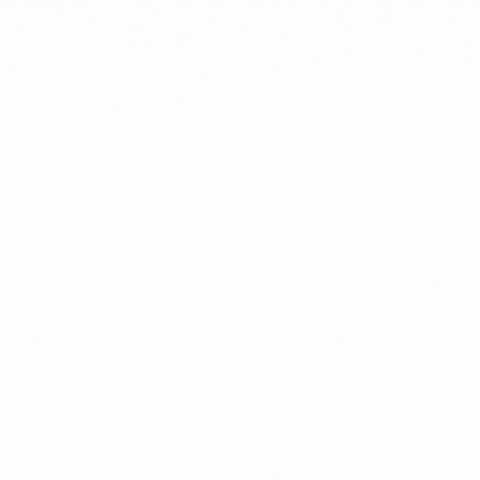 Burlesque Xperience GIF