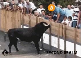 Crypto GIF