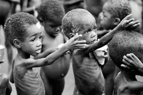 Image result for african hunger gif