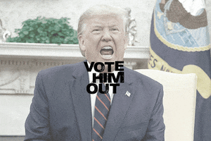 Vote Him Out GIF