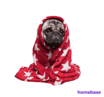 Sick Day GIF by Homebase app