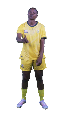 Sticker by Shield South Africa