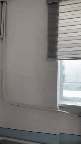 Gifazavr GIF