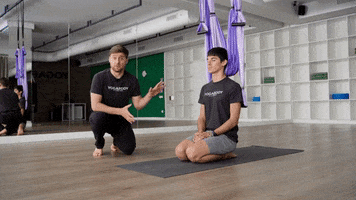 Training Yoga Trapeze GIF by YOGABODY