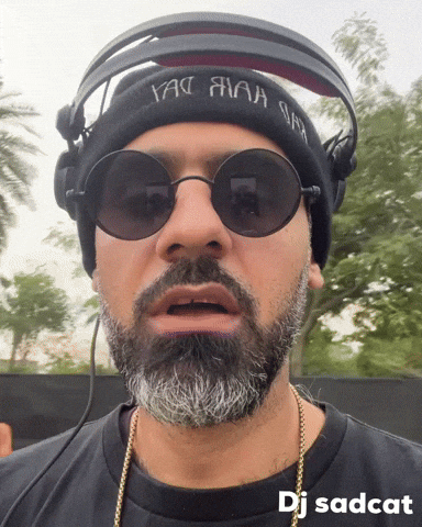 Day 4 GIF by dj sadcat