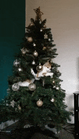 Christmas Tree GIF by Storyful