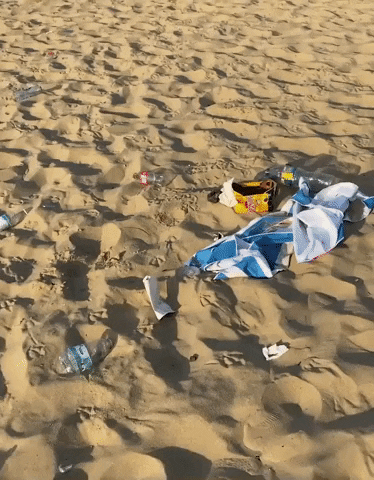 Beach Garbage GIF by Storyful