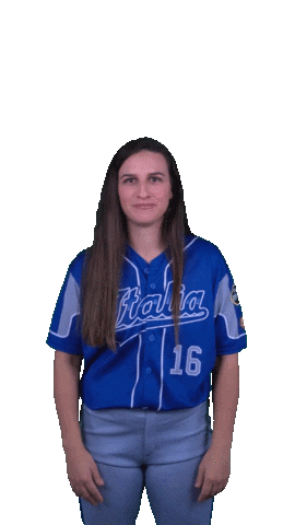 Italia Italiateam Sticker by FIBS - Federazione Italiana Baseball Softball