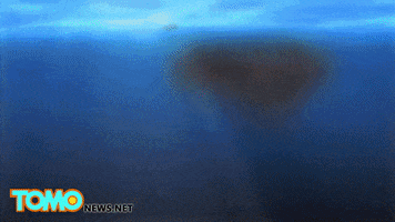ludens84  GIF