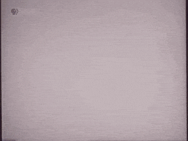 April Fools Physics GIF by PBS Digital Studios
