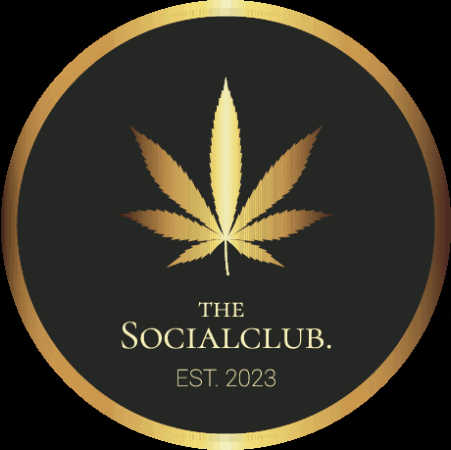 Thesocialclub GIF