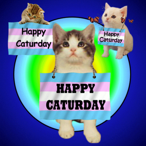 Lgbt Happy Saturday GIF
