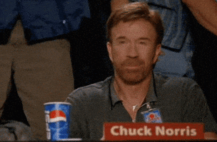 chuck norris GIF