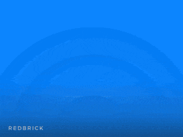 Experts GIF by Redbrick