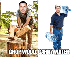 Jacksonville Jaguars GIF