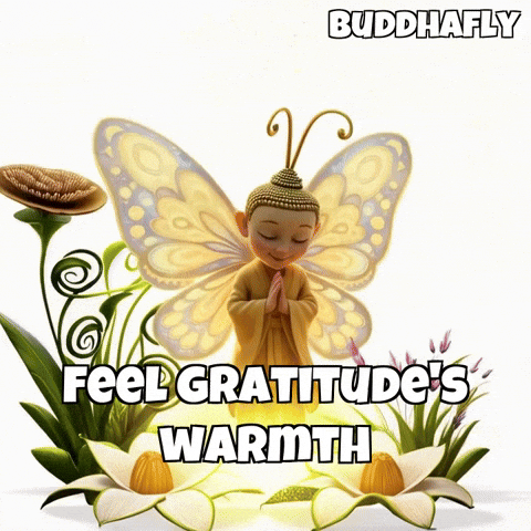 Flower Blooming GIF by BuddhaFlyJourney