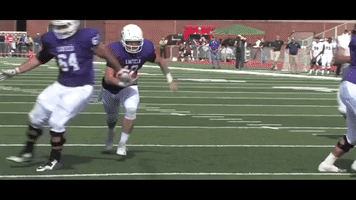 football touchdown GIF by Linfield College