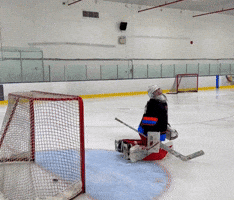Bromance Hockey Goalie GIF by Talking Hockey