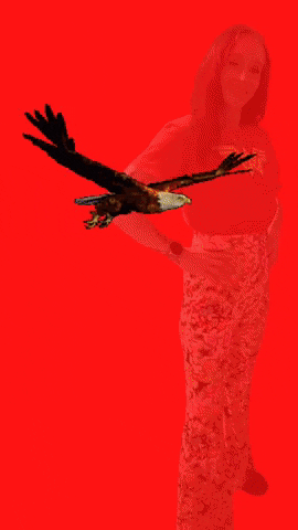Eagle Medicine Psychic Readings GIF