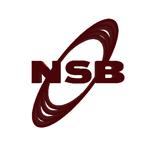 Noir Sur Blanc Records Sticker