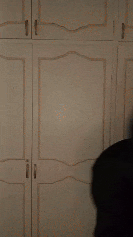 Fun GIF