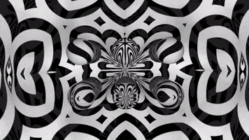 200.gif?cid=fc005b08c9ae55987ea3f2b3c8456aa57a31c9c8f8f05444&rid=200.gif&ct=g