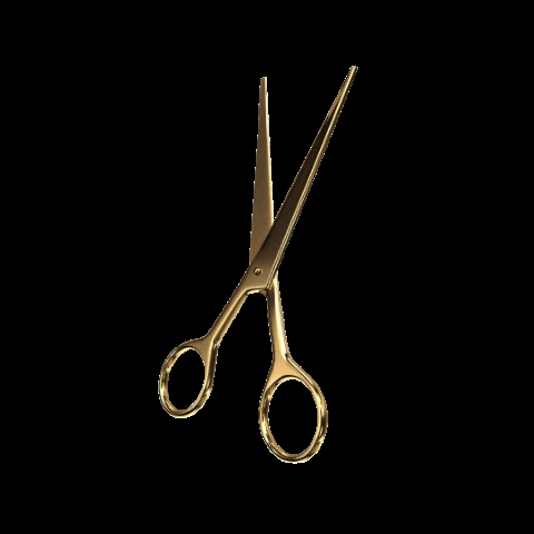 Studiocooliejoelie GIF