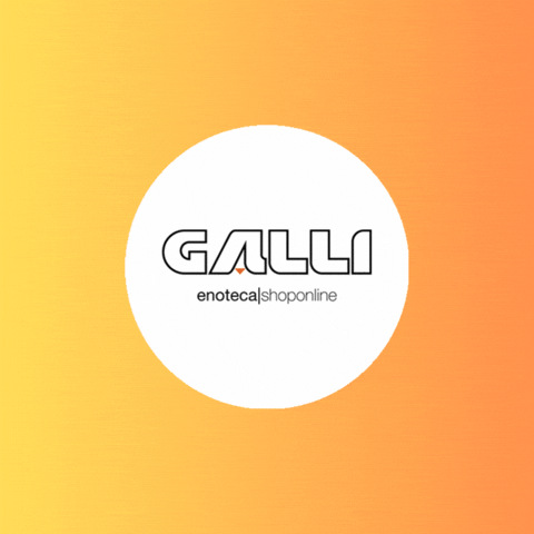 Vino Galli GIF by gallienoteca