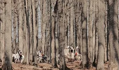 marie antoinette 2000s GIF