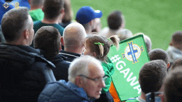 Football Team Child GIF by Northern Ireland