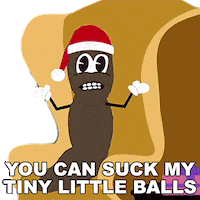 Mr Hankey Christmas GIF by South Park