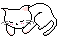 cat snoozing