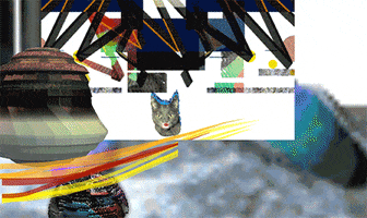 Cat Loop GIF by The NGB