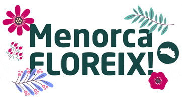 Menorquina GIF by Més Menorca
