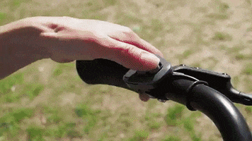 Bafang GIF