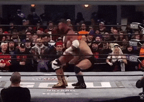 Wwe Wrestling GIF