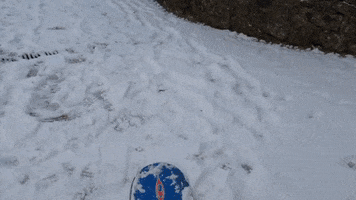 Sledding First Snow GIF by Storyful