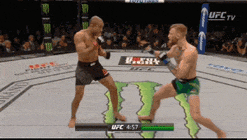 punch knockout GIF