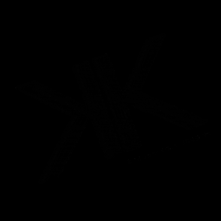 Hund GIF by Knabberkiste