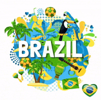 Brazil Miss GIF
