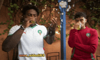 Moroccan Tea Penguin GIF