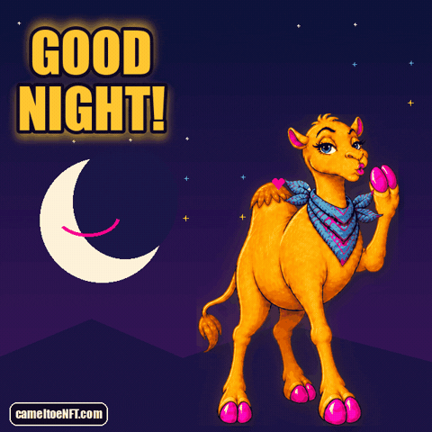 Good Night Bedtime GIF by CamelToe