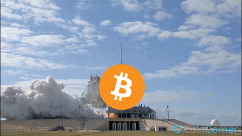 hodl-post-image