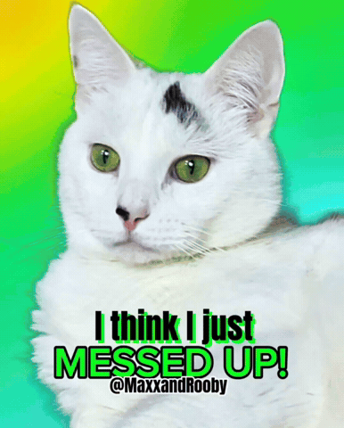 Cat Oops GIF