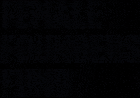 Fff GIF by femalefoundersfund