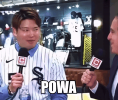 White Sox Chicago GIF