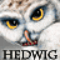 hedwig animated owl