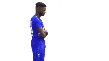 Angry Brandenburg An Der Havel Sticker by FC Stahl Brandenburg e.V