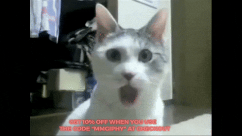 10 Funniest Cat Gifs